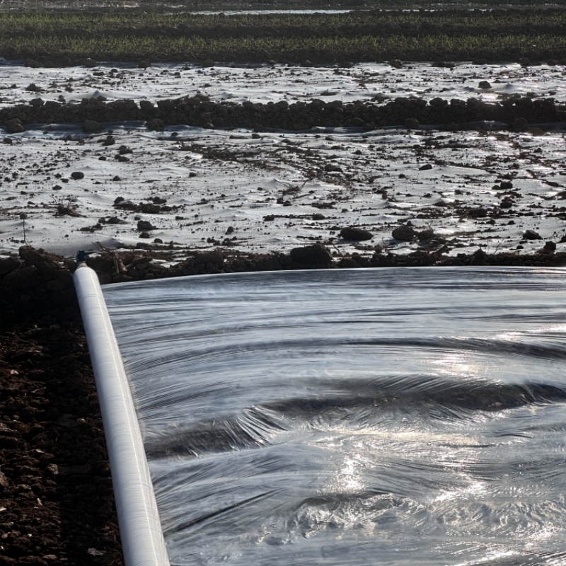 Agriculture Mulch Film