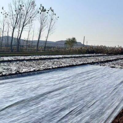 Agriculture Mulch Film