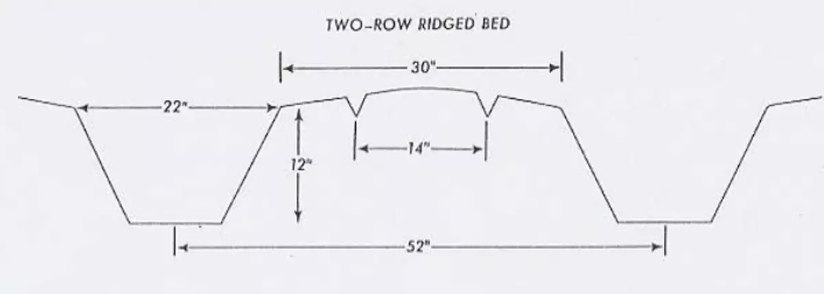 Strawberry Mulch Film Wholesale Weed Control for Berry Farms Schematic of older two-row ridged bed used in California.