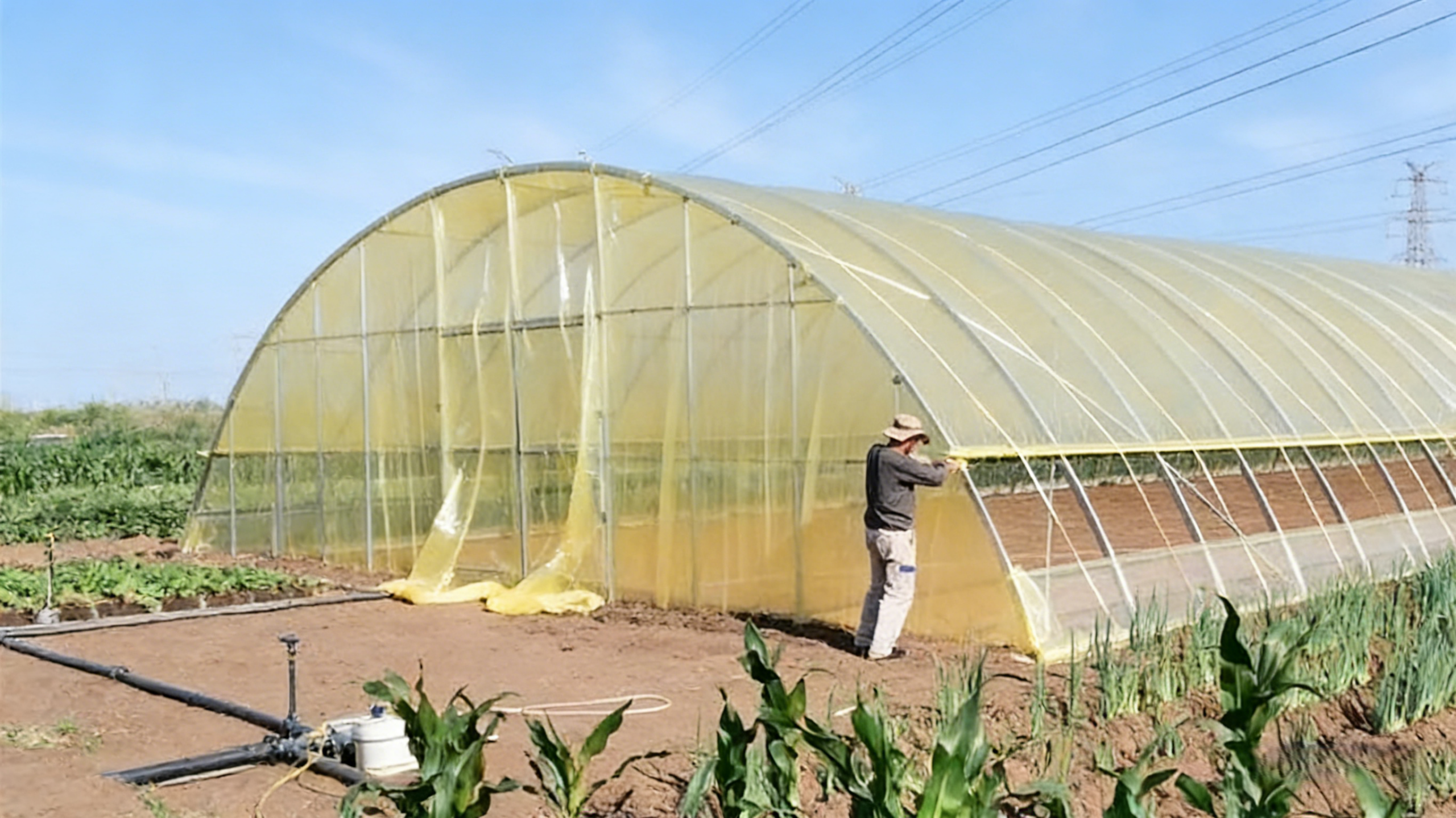 生成黄色大棚膜图片 3 scaled