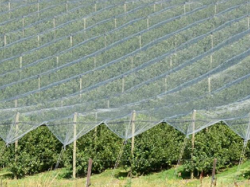 Agricultural Netting Manufacturer Bulk Shade & Hail Nets (2)
