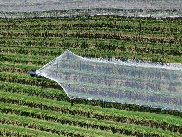 Agricultural Netting Manufacturer Bulk Shade & Hail Nets (2)