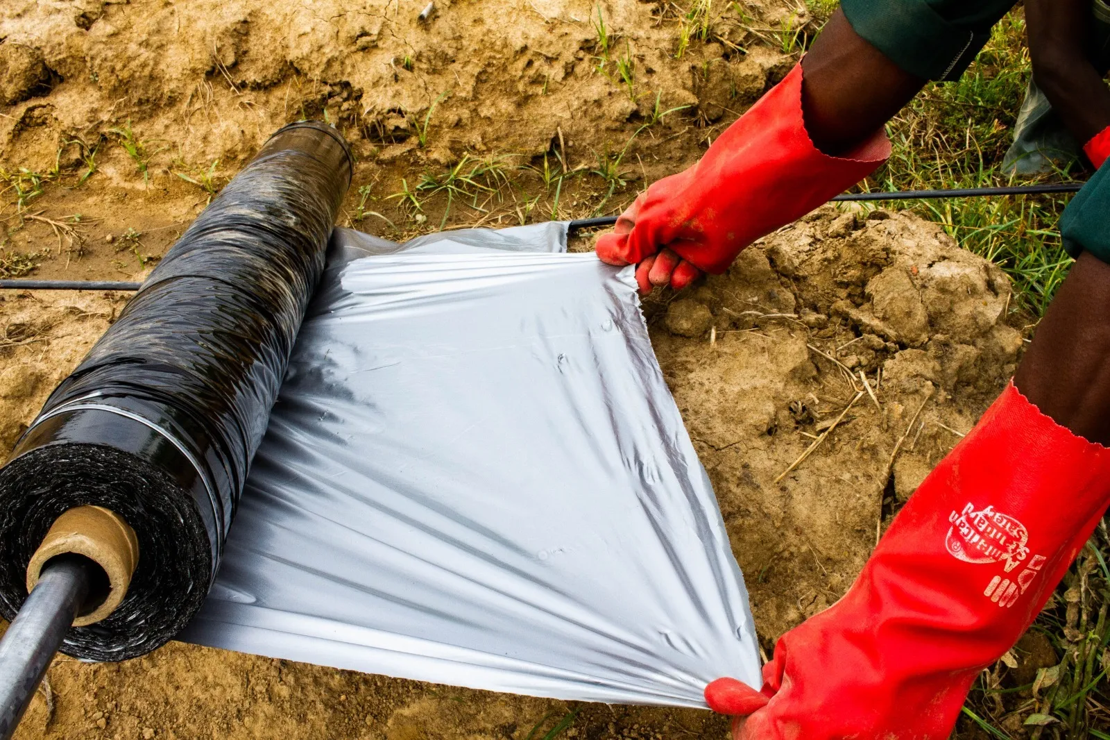 Mulch Film Wholesale Supplier Bulk Supply for Distributors (3)