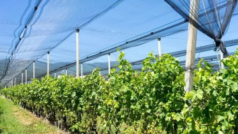 Overhead Enclosure Systems