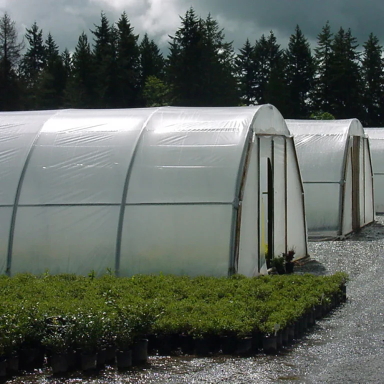 PO vs PE Greenhouse Film Technical Comparison (1)