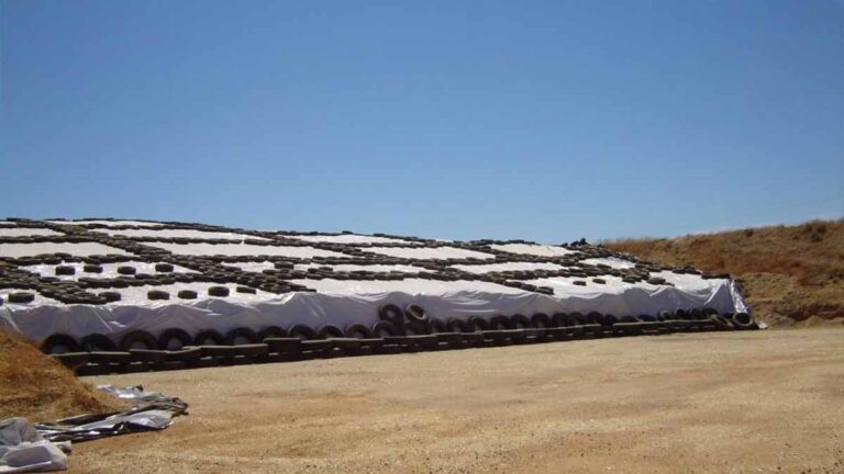 black and white panda film