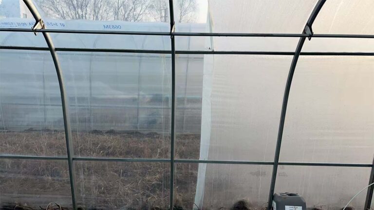PO Film Longevity | Commercial Use: The Ultimate Guide to Greenhouse Durability 3 PO film & PE film