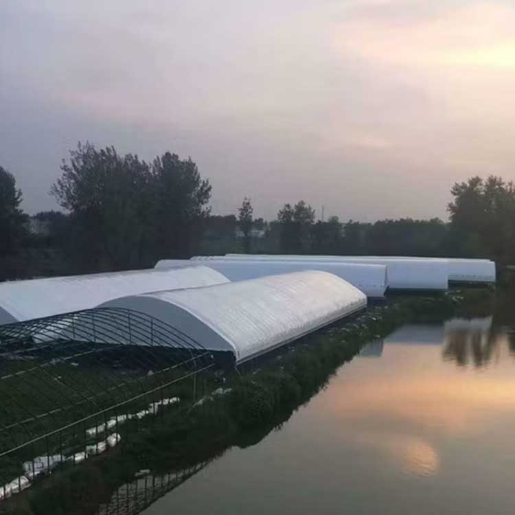 Wholesale Panda Film | 100% Light Proof Solutions for Commercial Growers 4 black and white panda film