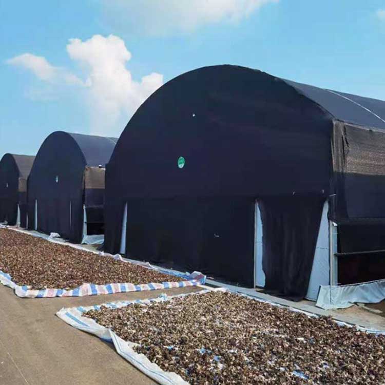 black and white panda film