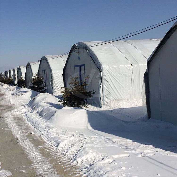 black and white panda film