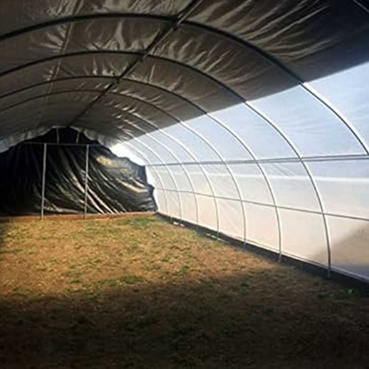 black and white panda film 