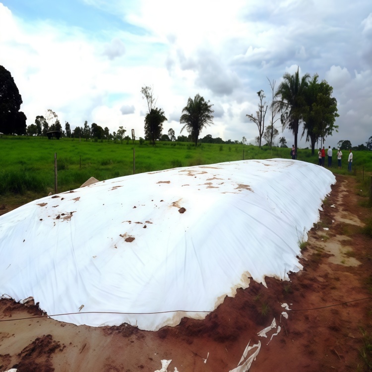 Black and White Panda Silage Film for Agricultural Forage Storage