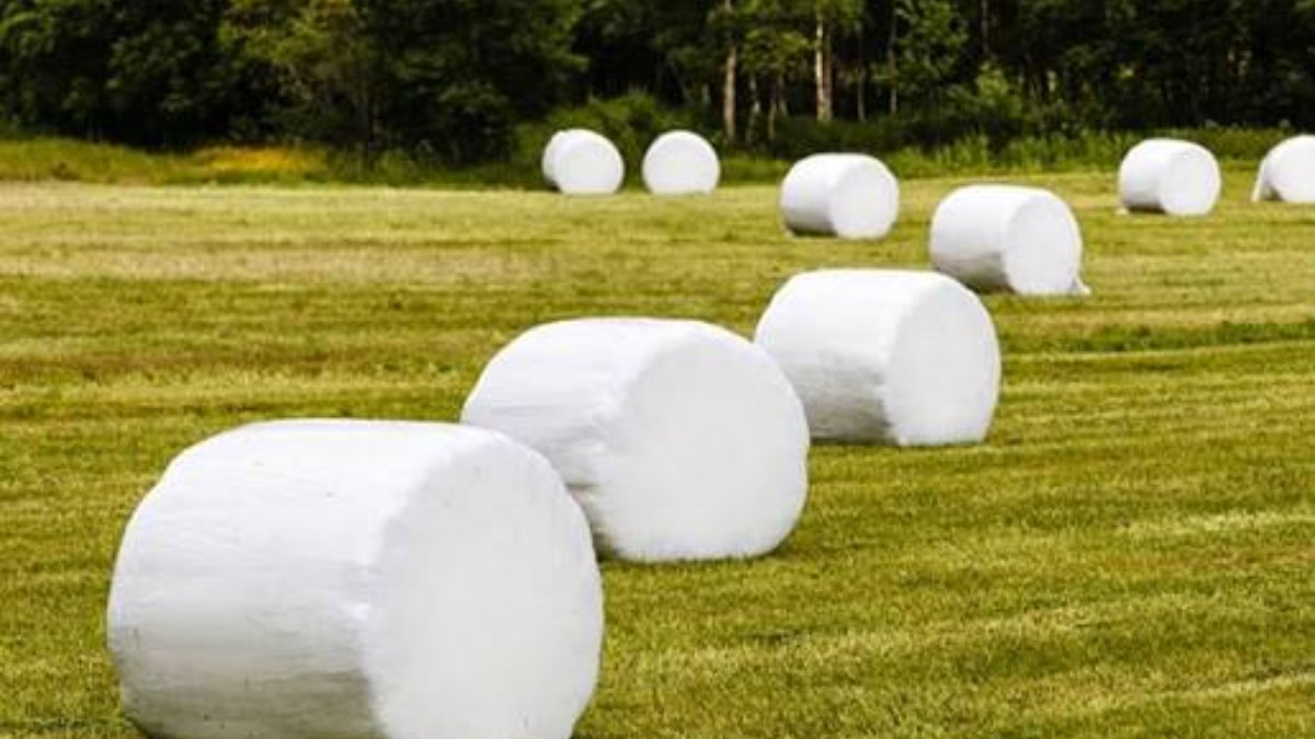 Silage Film