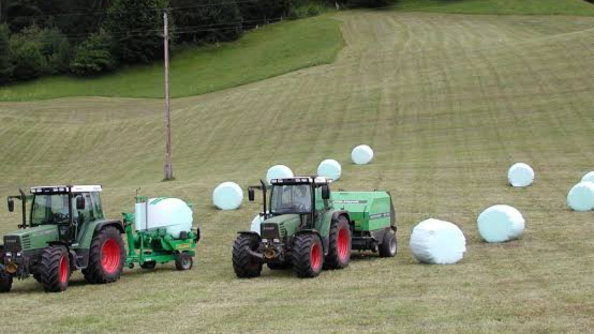 Silage Film