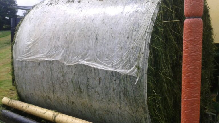 Silage Wrap Supplier for Grass and Alfalfa Bales | Reliable Bulk Supply for Livestock Farms 2 Silage Film