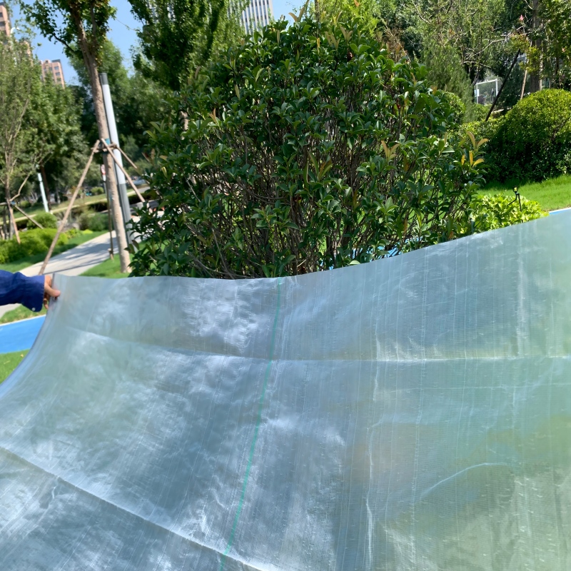 PE Woven Fabric