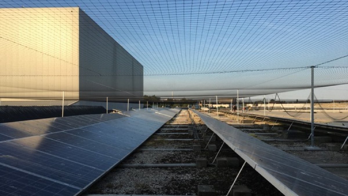 Bird Netting Supplier for Solar Farms | UV-Stabilized Protection for Commercial PV Sites