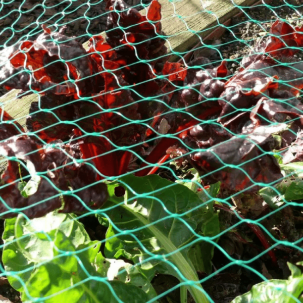 Home 19 Anti Bird Net