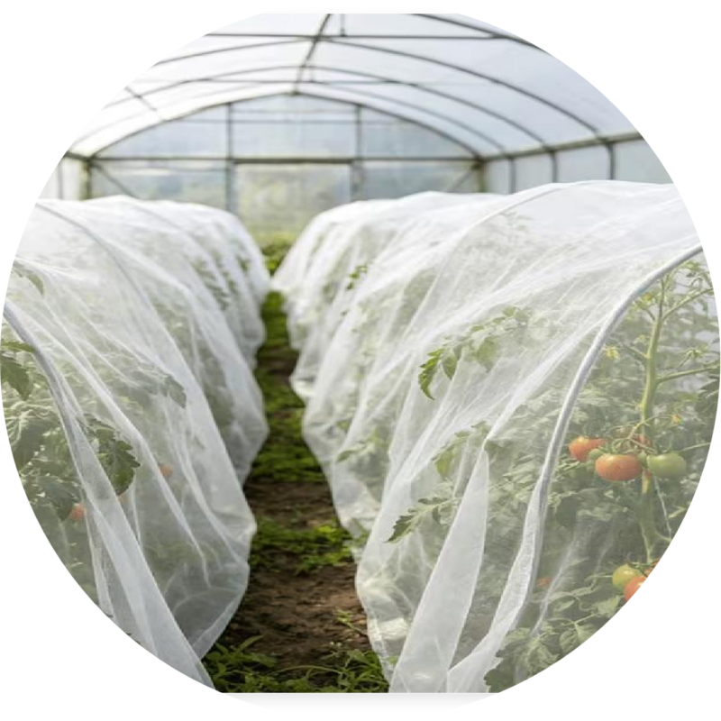 Anti-Insect Net