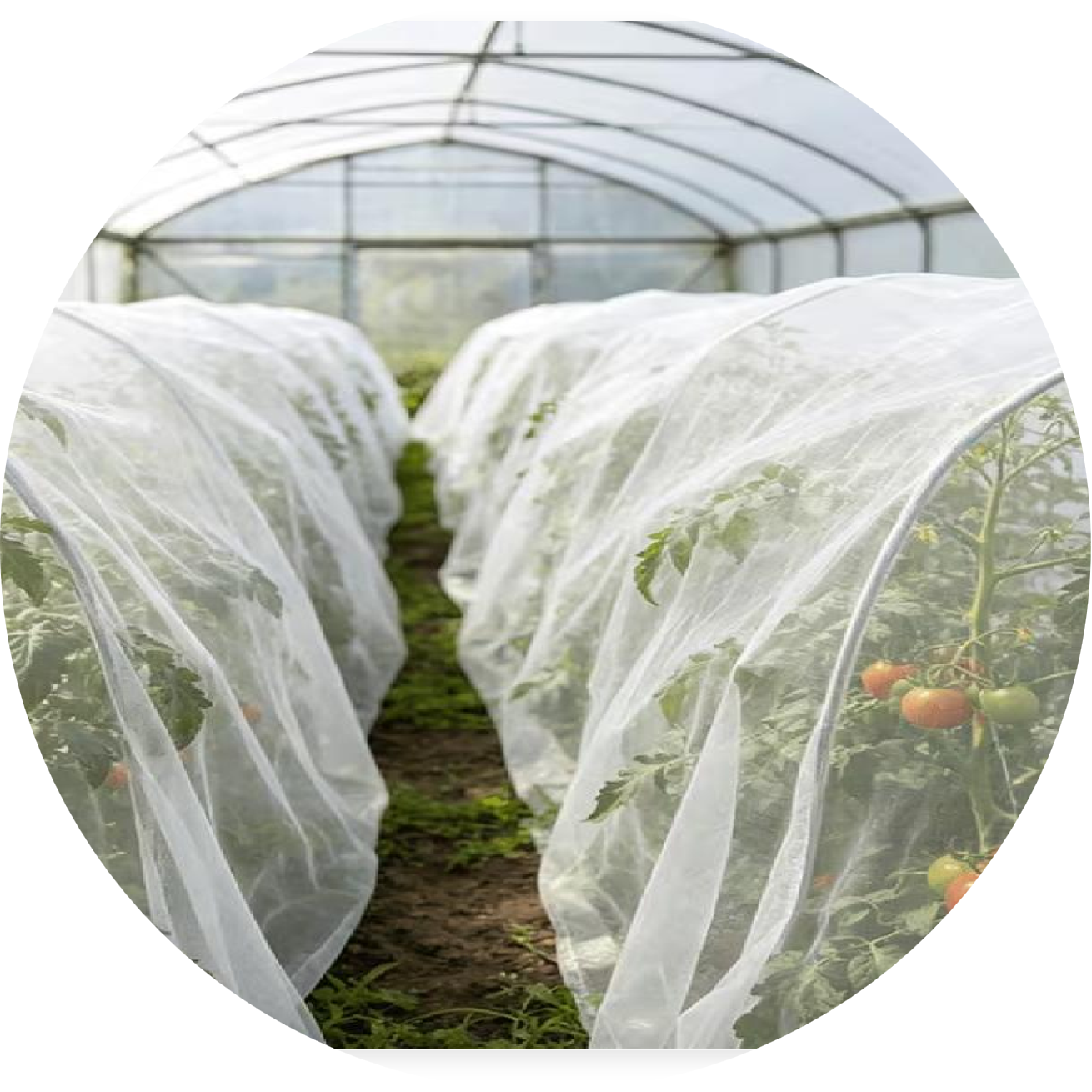 Anti-Insect Net