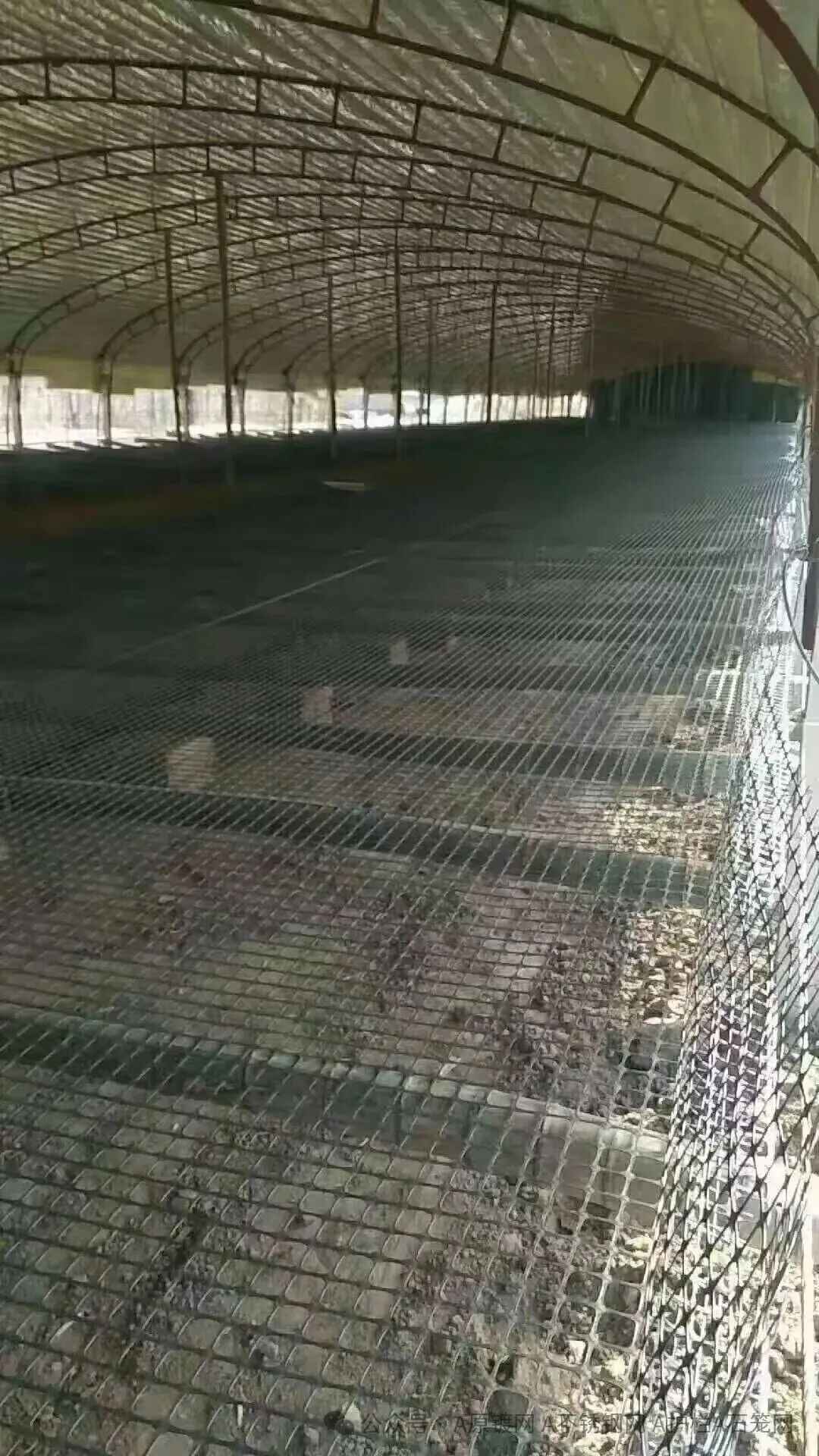 Greenhouse Film for Turkey Farms 1