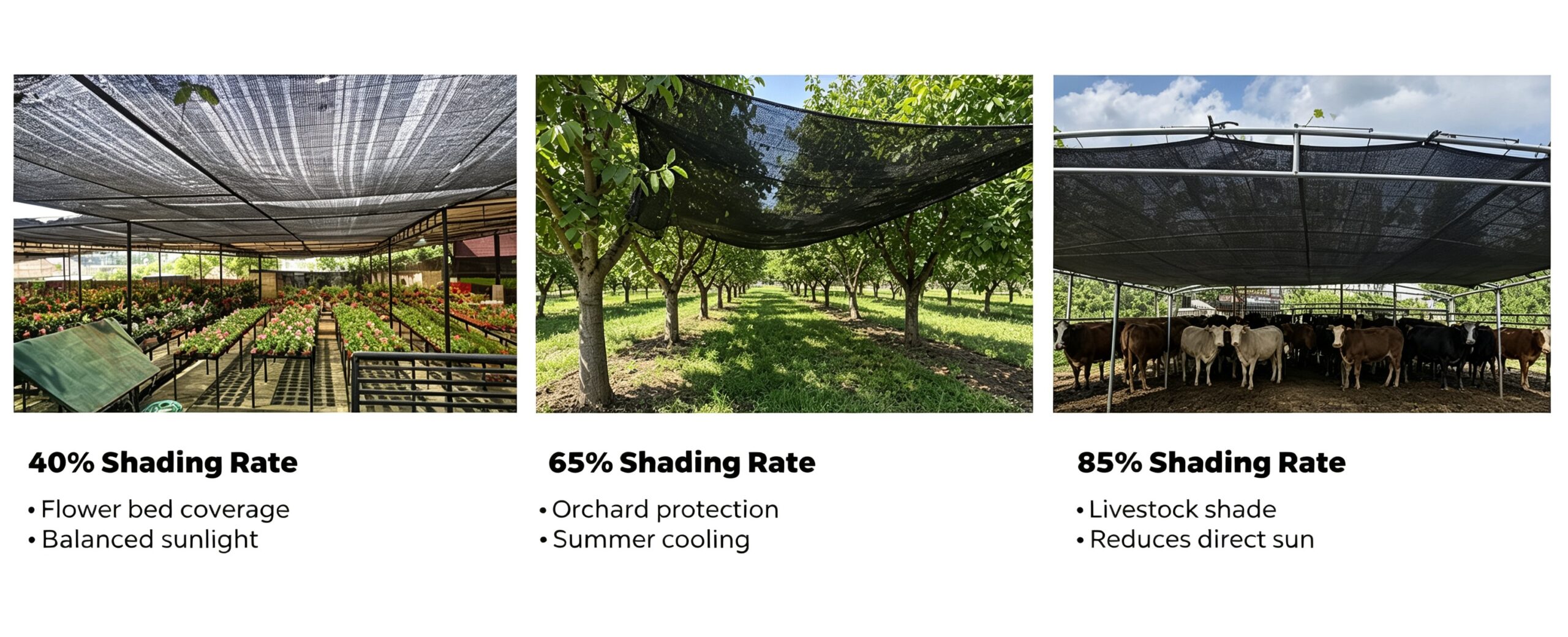 Shade Net