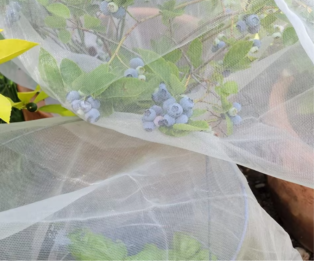 防虫网