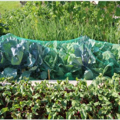 Anti-Insect Net
