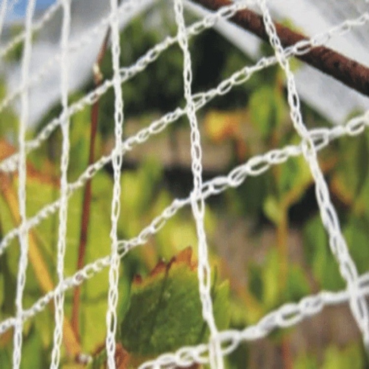 Anti-Bird Net