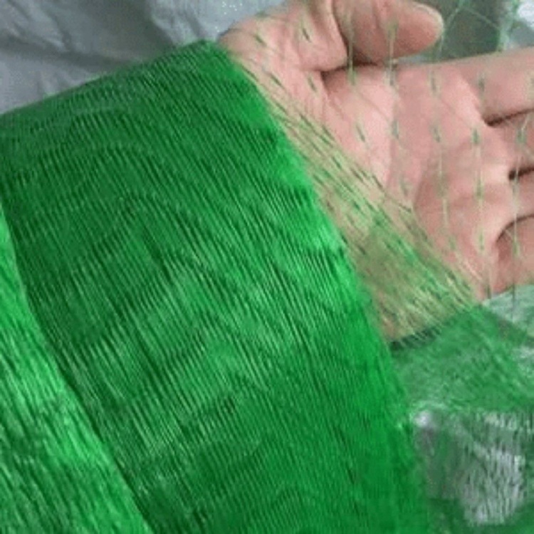 Anti-Bird Net