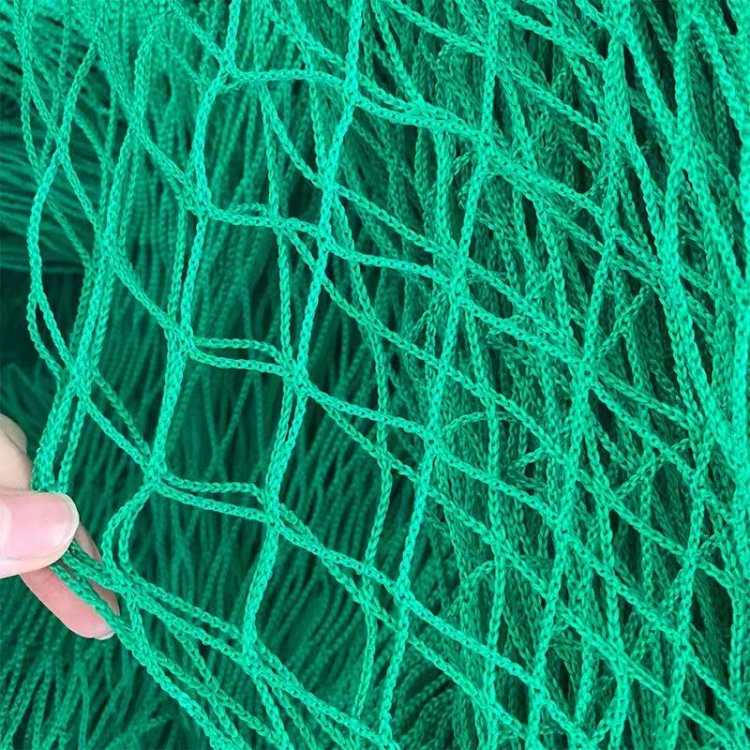 Anti-Bird Net